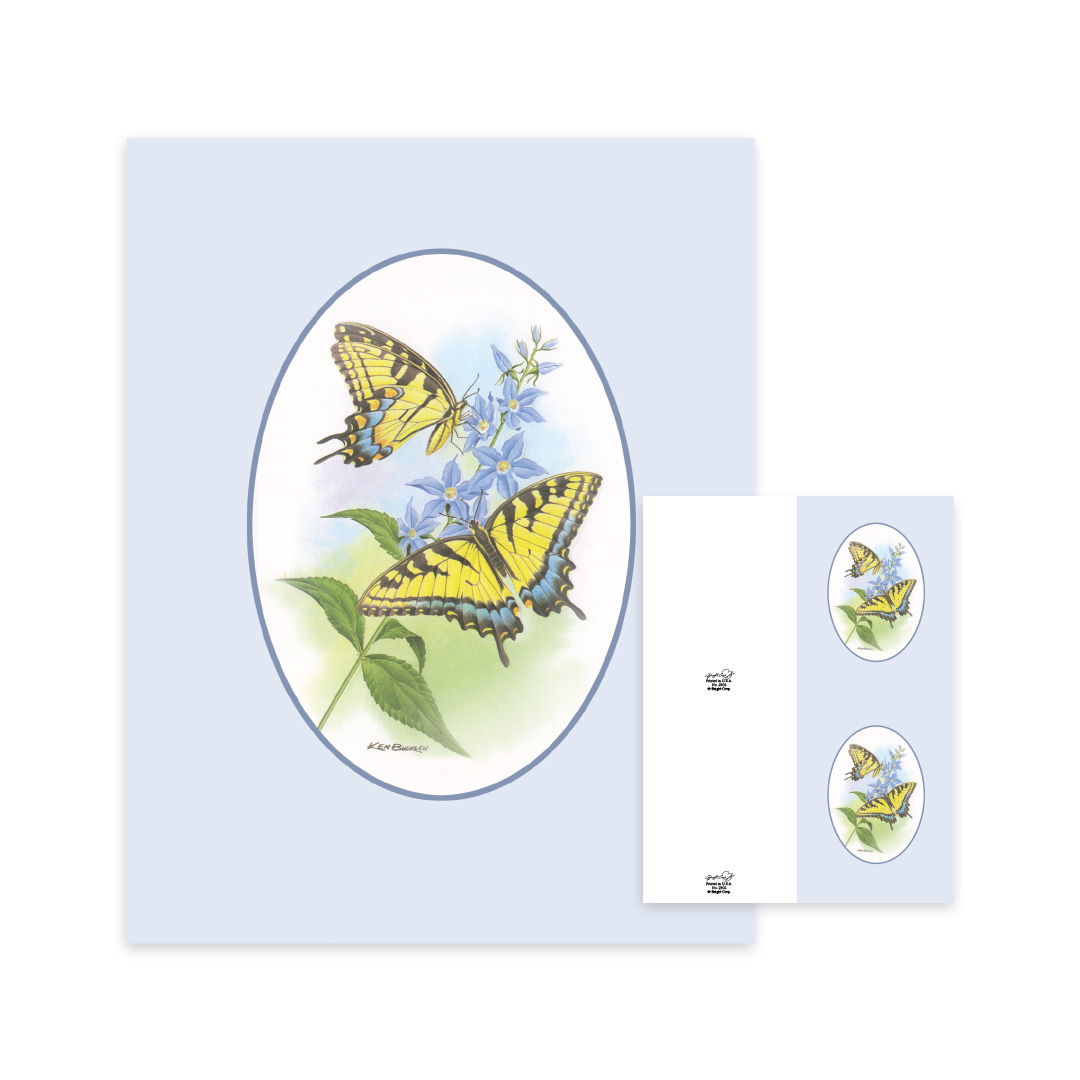 Swallowtail Memorial Folders