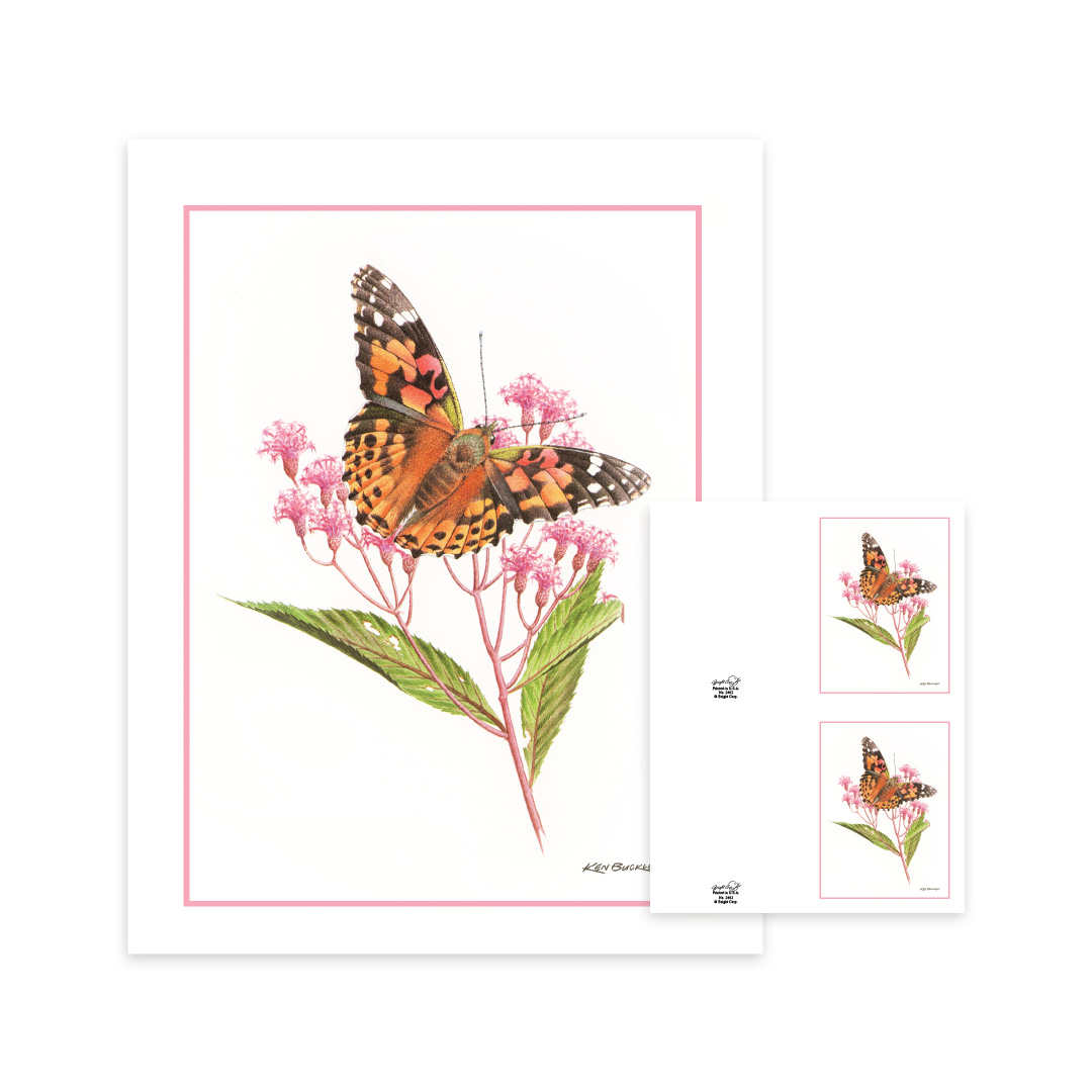 Monarch Memorial Folders