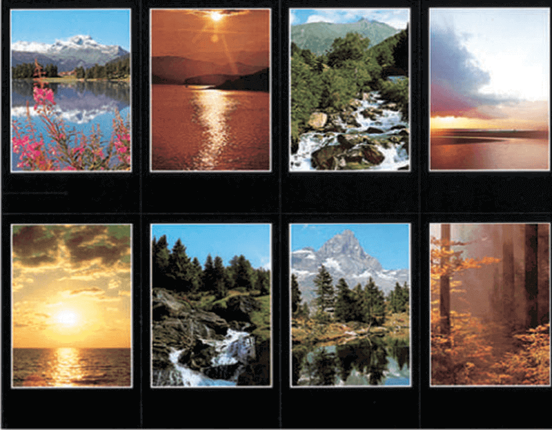 Creation Series 8-up Prayer Cards Creation Series 8-up Prayer Cards