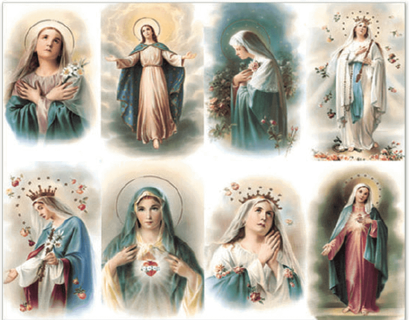 Queen of Heaven 8-up Prayer Cards Queen of Heaven 8-up Prayer Cards