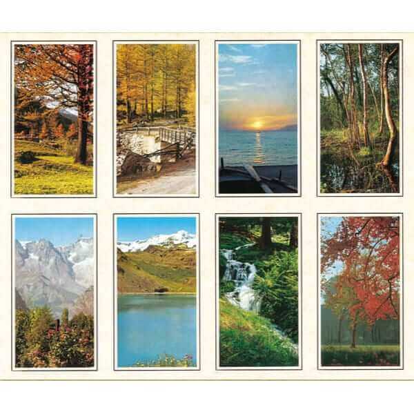 Vista 8-up Prayer Cards