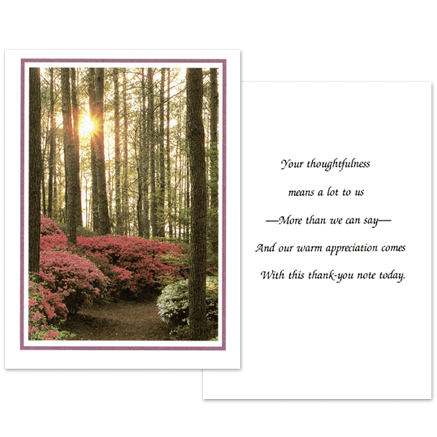 Azalea Acknowledgment