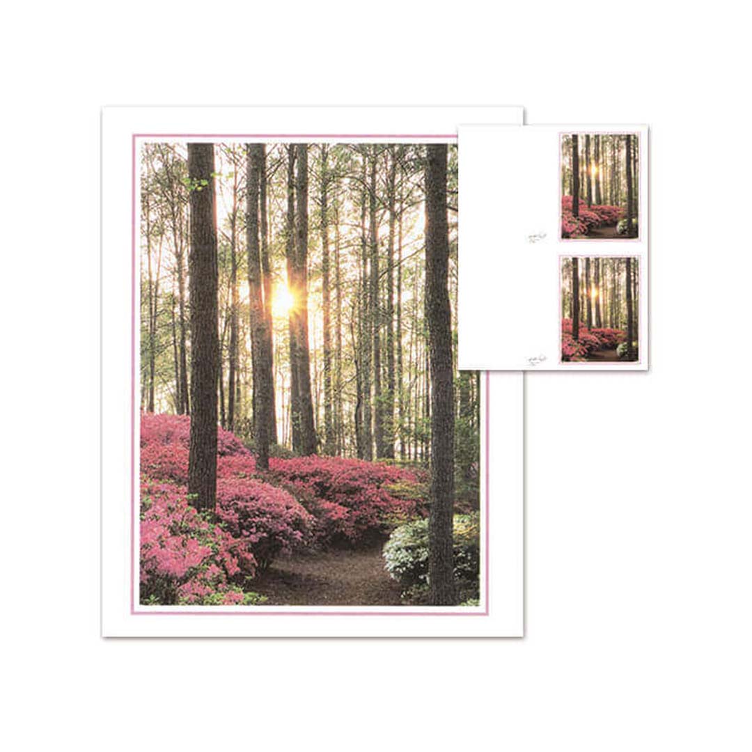 Azalea Memorial Folders