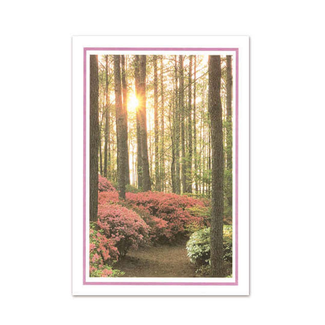 Azalea Mid-Size Memorial Folders