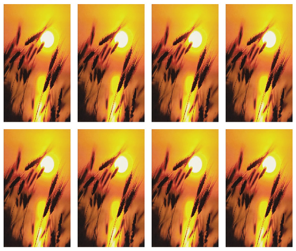 Wheat 8UP Prayer Card