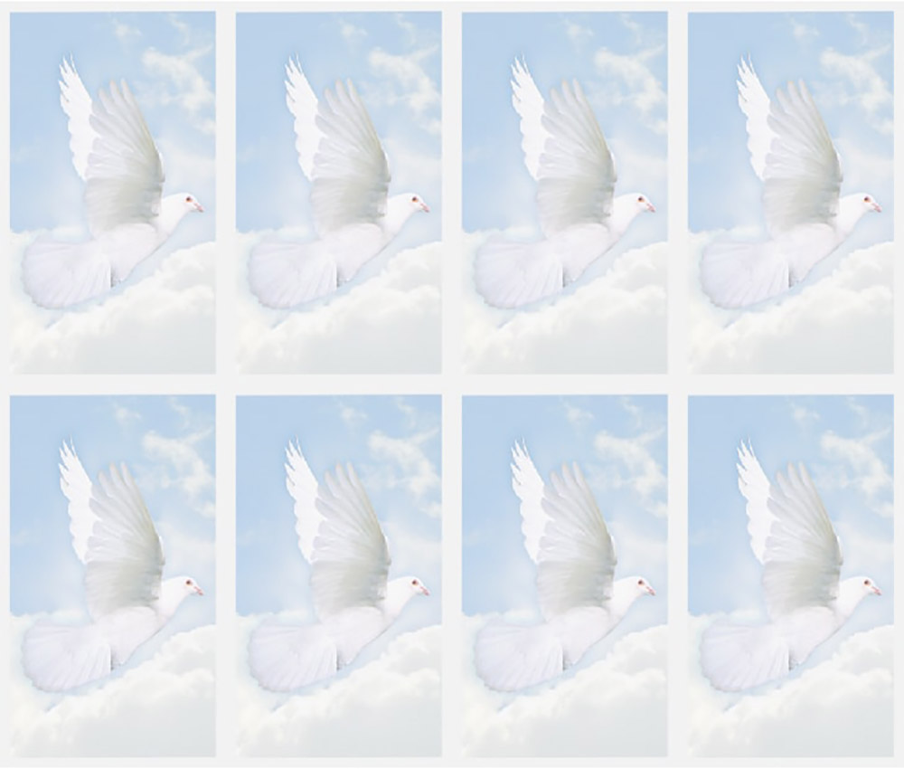 Wings of Hope 8UP Prayer Card