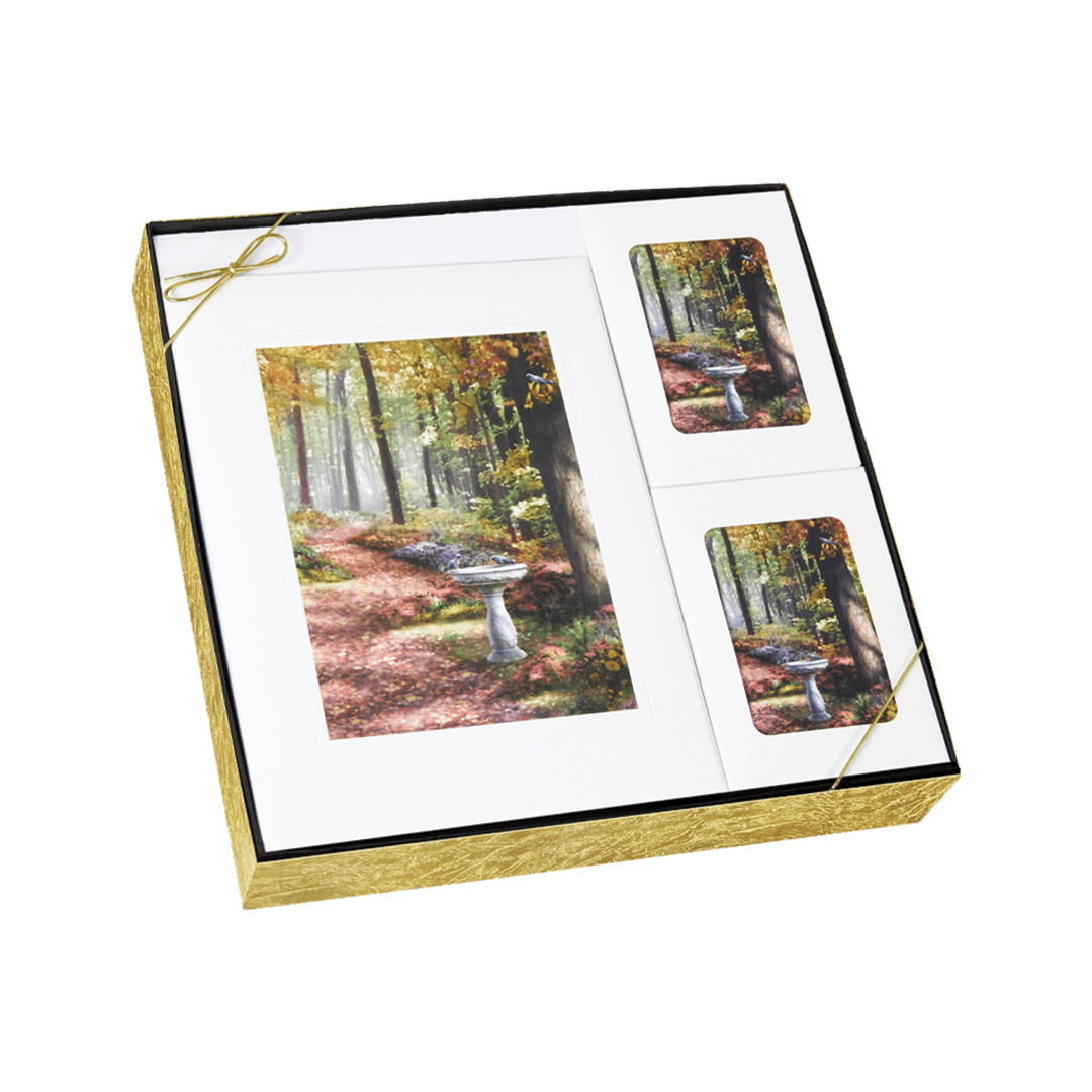 The Path in the Forest Box Set
