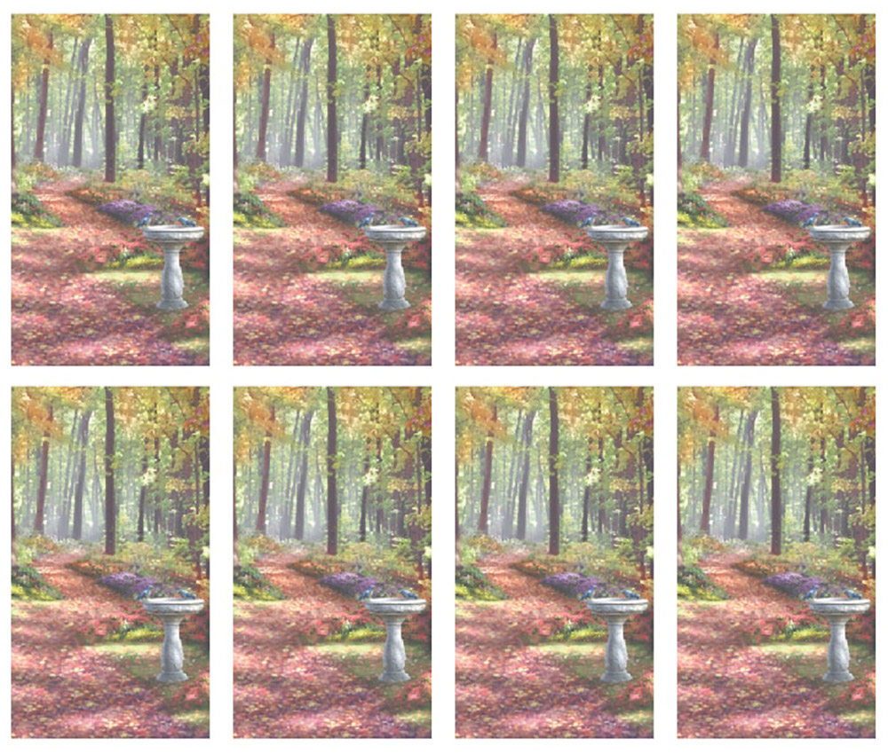 A Path in the Forest 8UP Prayer Card