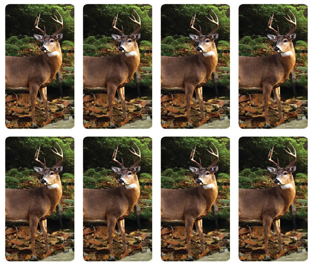 Forest Retreat 8UP Prayer Card