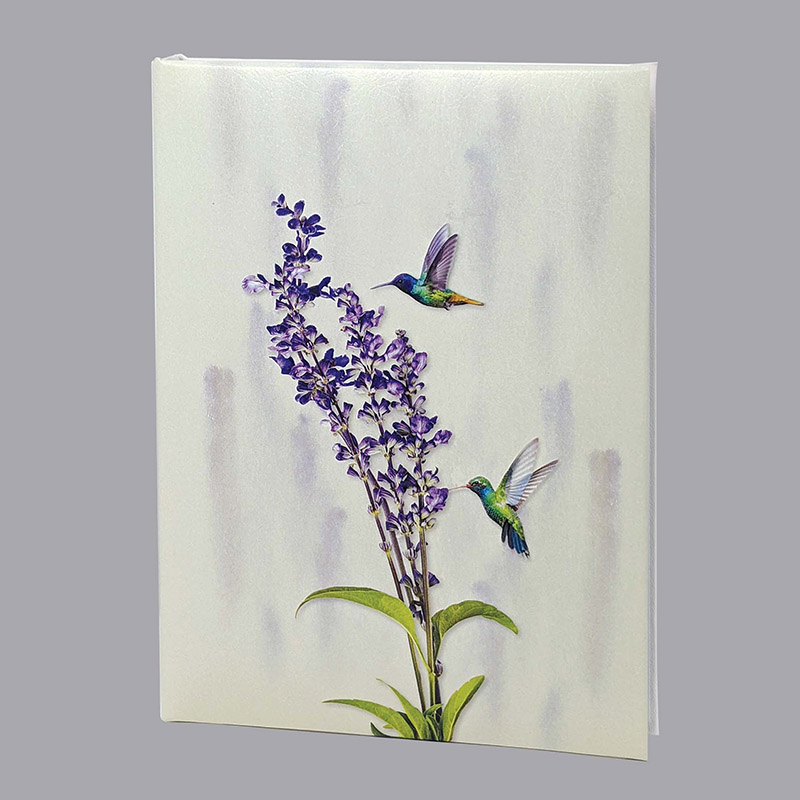 Hummingbird Box Set