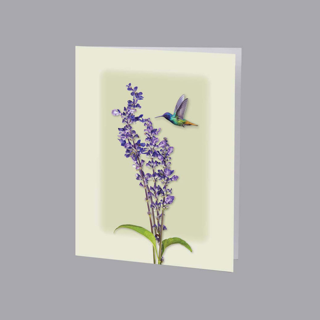 Hummingbird Service Record / Memorial Folder Hummingbird Service Record / Memorial Folder