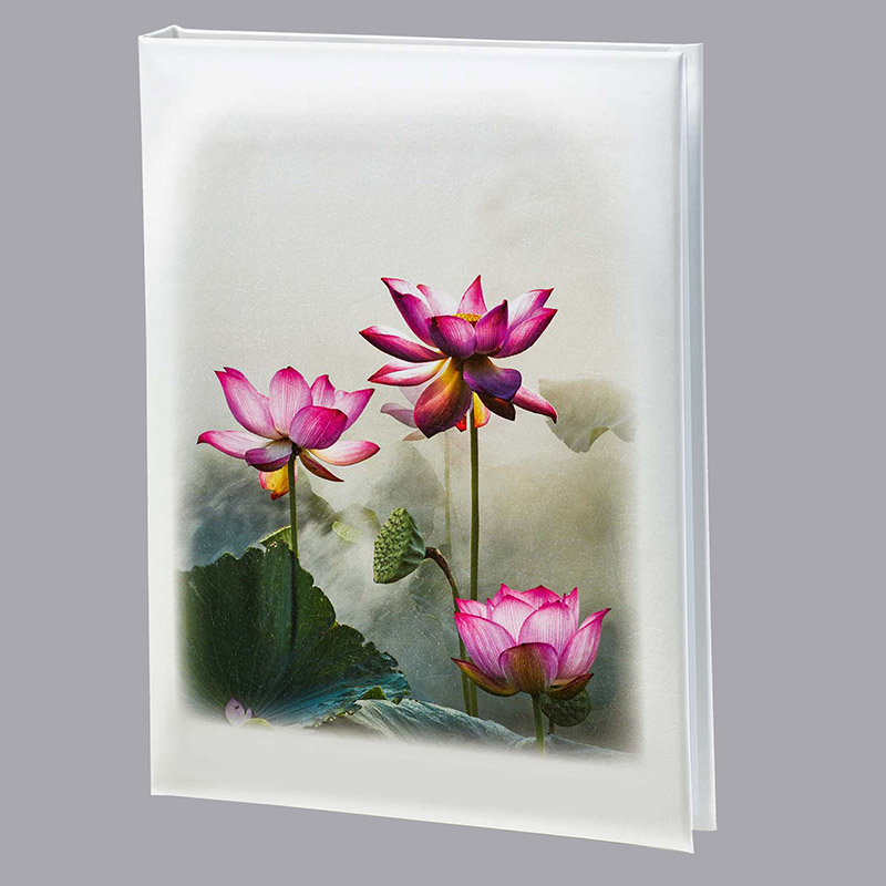 Lotus in the Mist Box Set