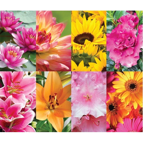 Flowers Series 8-up Prayer Cards