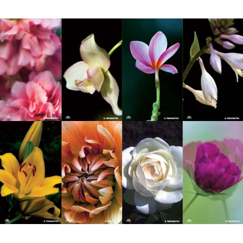 Fragrance Flower Series 8-up Prayer Cards