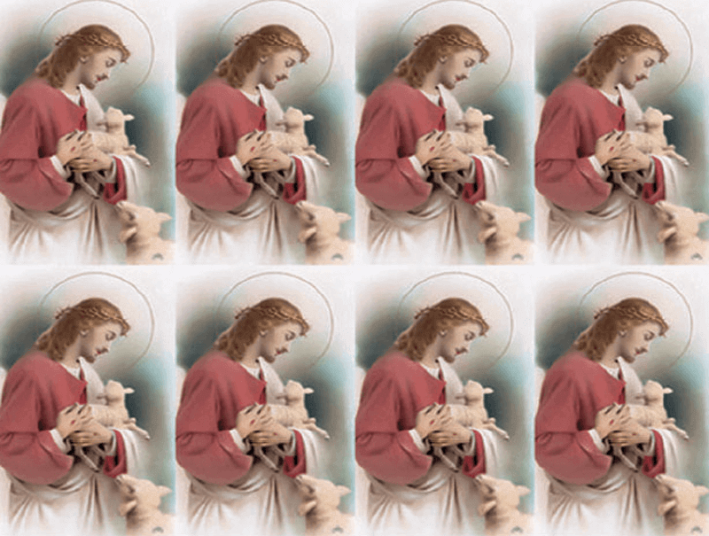 Lost Lamb, Good Shepherd Series 8-up Prayer Cards Lost Lamb, Good Shepherd Series 8-up Prayer Cards