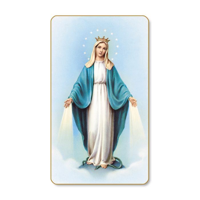 ALBA-15 - Our Lady of Grace Holy Card