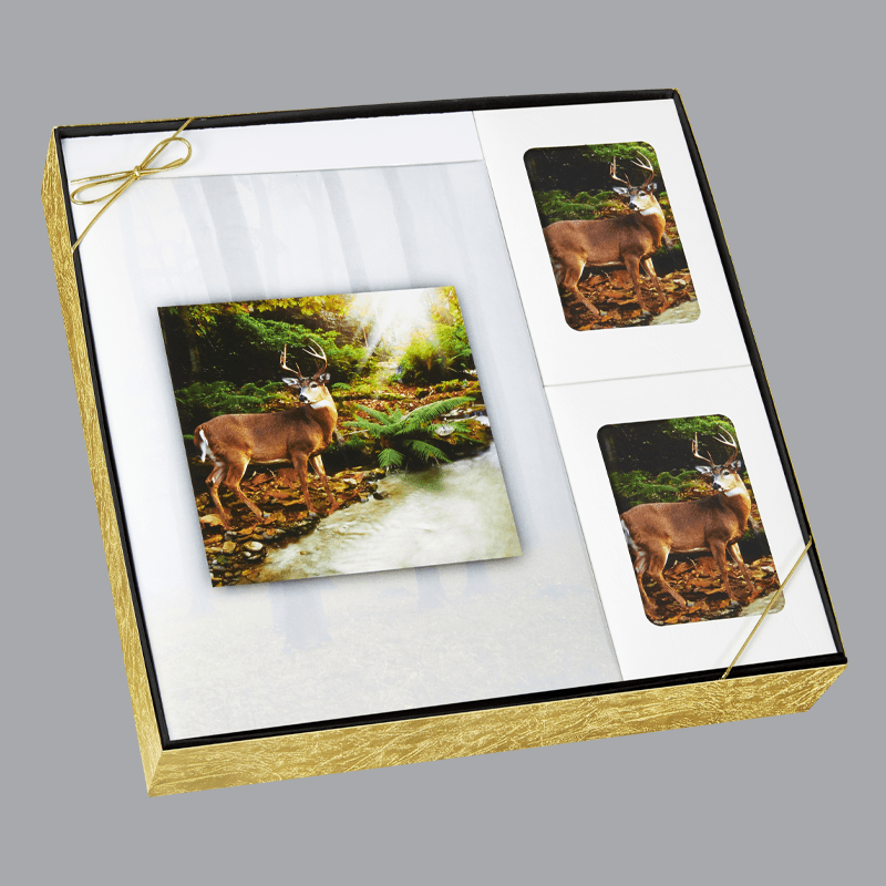 Forest Retreat Box Set