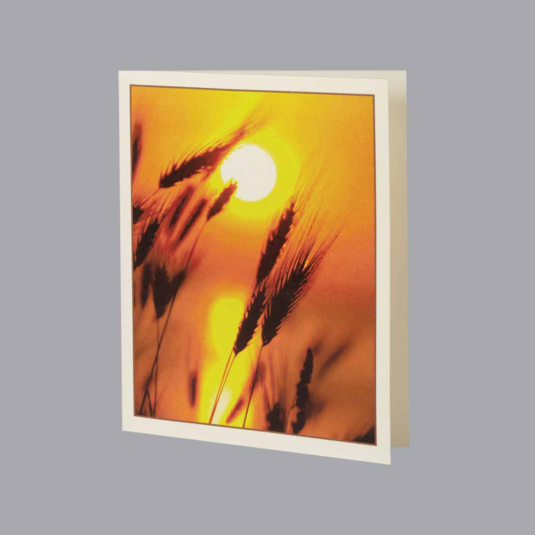 Wheat Service Record / Memorial Folder