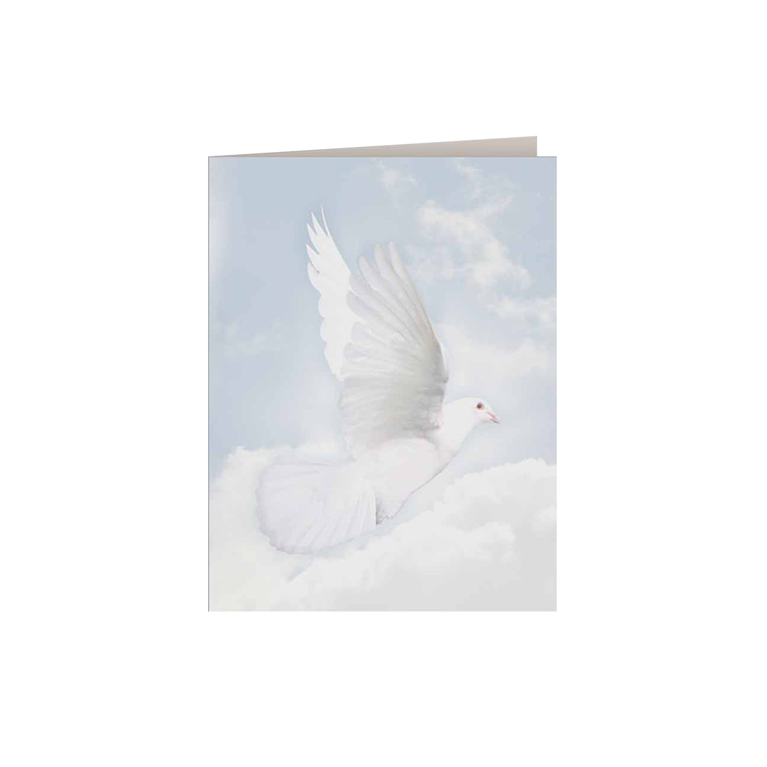 Wings of Hope Service Record / Memorial Folder